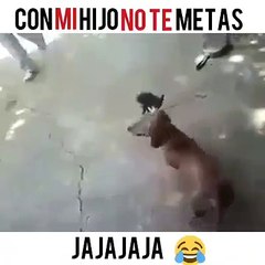 Cuando Te MEtes Con El Hijo De Una Gata