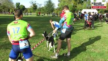 VIDEO. Ligugé (86) : maîtres et chiens unis dans le même effort