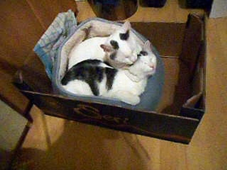 Harvey und Vinzent am 05.11.2016