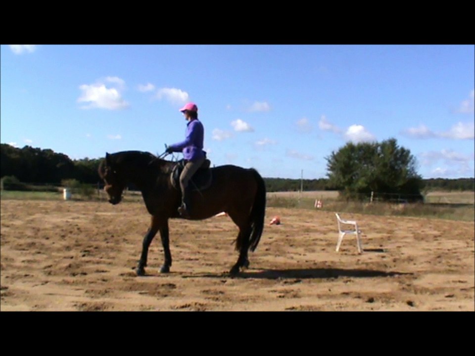 Lib' sept 2016 (reculer en selle au début)