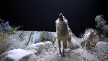 Teen Wolf temporada 6 - Teaser 3 'Beacon Hills Museum'