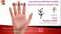 Origin of Chinese Characters - Radical 066 手 手字旁  手形篇  正面手 - Learn Chinese with Flash Cards