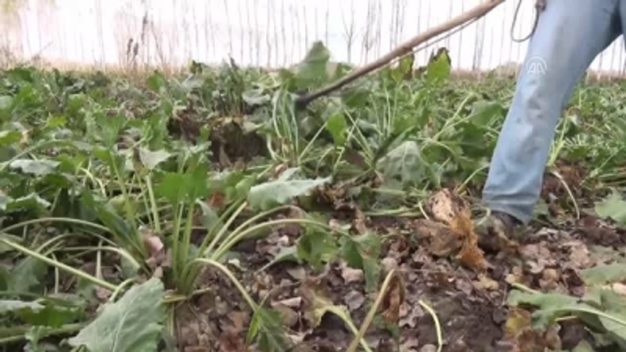 En Tatlı Yolculuğa 60 Yıldır Ev Sahipliği Yapıyor
