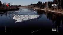 Un monstre du Loch Ness repéré en Alaska