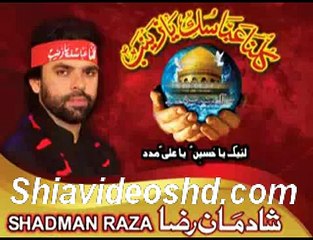Labaik Ya Hussain Noha by Shadman Raza 2014