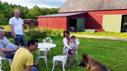 Cute Babies Laughing at Dogs