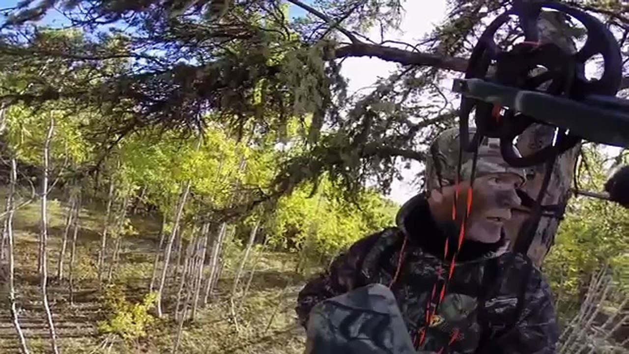 La chasse à lours noir avec un arc | Parfait double-poumon coup!!!