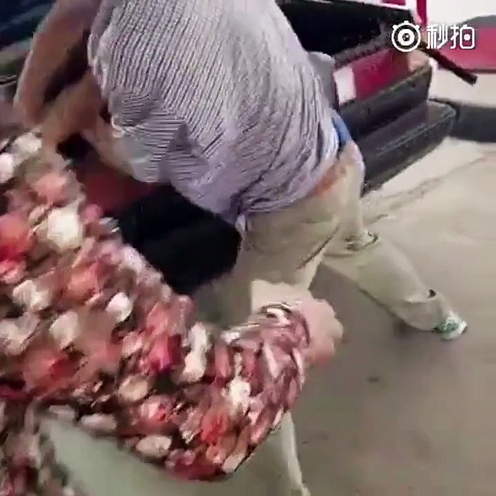 Il enferme sa femme dans le coffre de sa voiture !