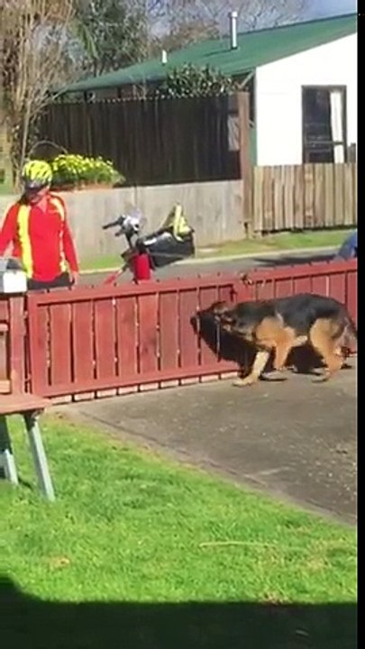 Le maître sait que le facteur fait ça à son chien à tous les jours, puis il le capte enfin sur caméra!