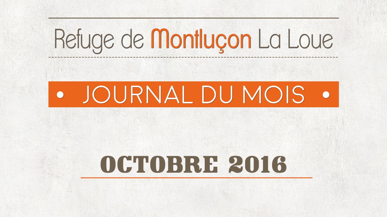 Un mois au refuge : octobre 2016