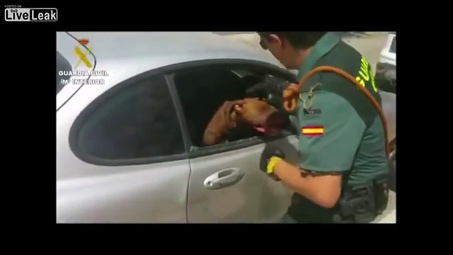 Un policier casse la vitre pour secourir un chien, mais voyez ce qui arrive quelques instants plus tard! Incroyable!