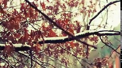 Allah ki Qudrat Bayan by Maulana Tariq Jameel Sab