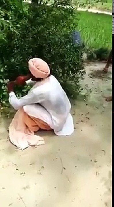 snake catcher