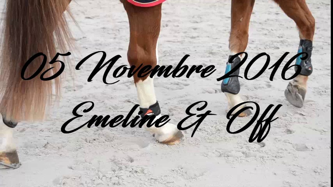 Emeline et Off 05 Novembre 2016