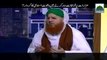 Islamic Short clips-Whats Happened on All Shrines-Rizvi networks