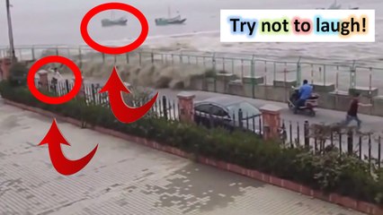 Epic Fail Compilation [NEW] #39  Best Fails/Wins of the year