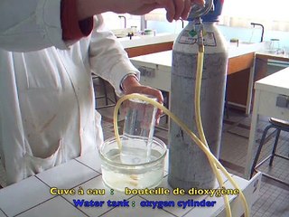 Combustions fer, carbone dans le dioxygène