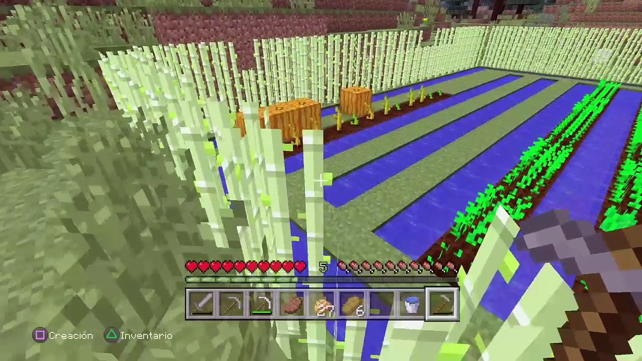 APOCALIPSIS MINECRAFT #14