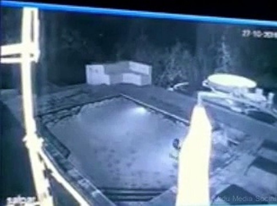 crocodile attack couple in swimming pool