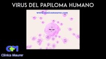 VPH - VIRUS DEL PAPILOMA HUMANO
