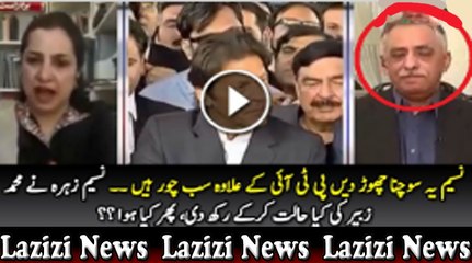 Watch Mohammad Zubair's reaction when Naseem Zahra grilled her on Ferguson's report