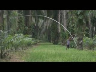 teleSUR Noticias 05-11-16_16:30