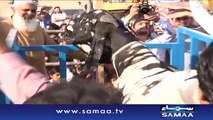 293-kg goat is believed to be world’s heaviest _ SAMAA TV