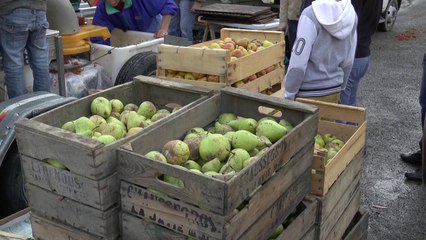 Alpes-de-Haute-Provence : La poire Sarteau attire toujours autant de monde