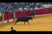Most Awesome Bull Fight Fails - Top funny videos Try Not to Laugh - FUNNY CRAZY Bull Fails