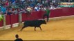 Most Awesome Bull Fight Fails - Top funny videos Try Not to Laugh - FUNNY CRAZY Bull Fails