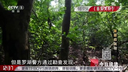 《撒贝宁时间》 20161106 复原的真相