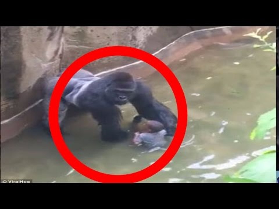 5 Incredible  HeartTouching Moments When Mom Saves Kids-Funny Videos-Funny Clips-Funny Fails