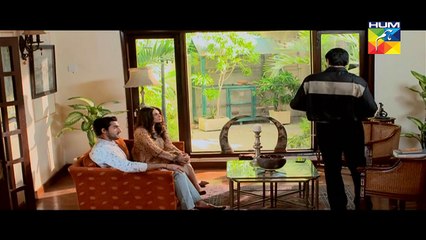 Kitni Girhain Baqi Hain Eds 2 L    HUM TV Drama 6 November 2016