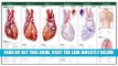 [FREE] EBOOK Anatomical Chart Company s Illustrated Pocket Anatomy: Anatomy of The Heart Study