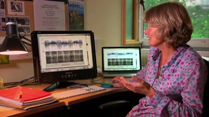 Complete Documentary 🎥