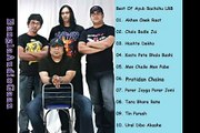 Best Of Ayub Bachchu LRB Bangla Songs Full Album