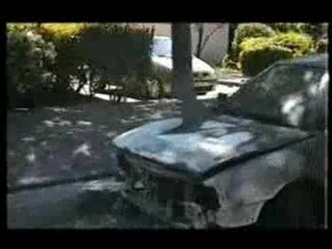 PROTOTYPE - CICATRICES & 1ER TOUR