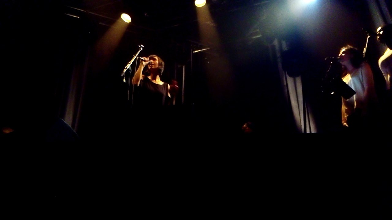 2016-11-02 concert Pauline Croze 3 Baudets