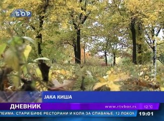 Dnevnik, 06. novembar 2016. (RTV Bor)