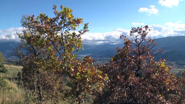 D!CI TV : Alpes du Sud : L'automne arrive dans nos montagne (clip vidéo)
