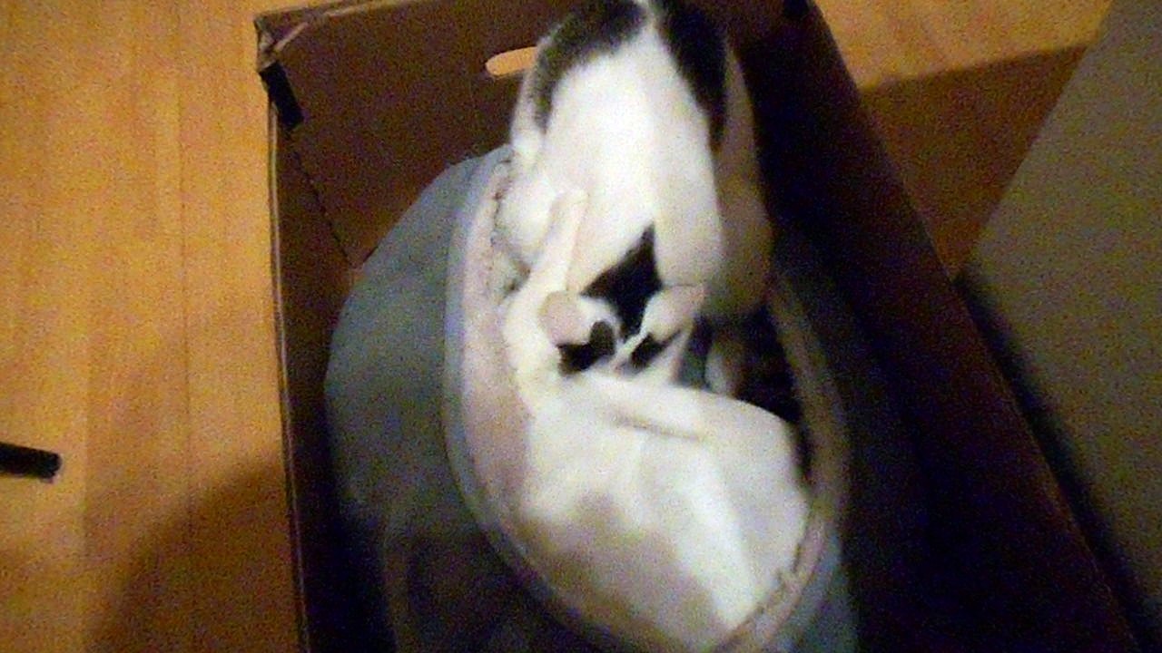 Vinzent am 06.11..2016