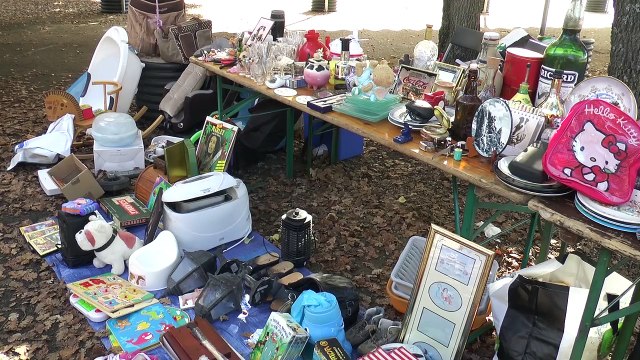 Alpes-de-Haute-Provence : Vide-grenier animé à Aiglun
