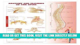 [FREE] EBOOK Anatomy and Injuries of the Spine: Anatomical Chart by Anatomical Chart Company [01