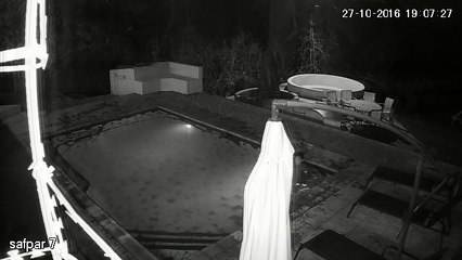 Un crocodile attaque des touristes dans une piscine