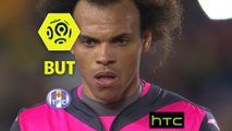 But Martin BRAITHWAITE (36ème pen) / FC Nantes - Toulouse FC - (1-1) - (FCN-TFC) / 2016-17