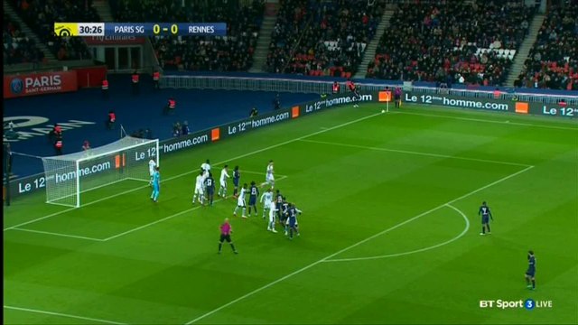 Fernandes G. (Own goal) HD - PSG	1-0	Rennes 06.11.2016