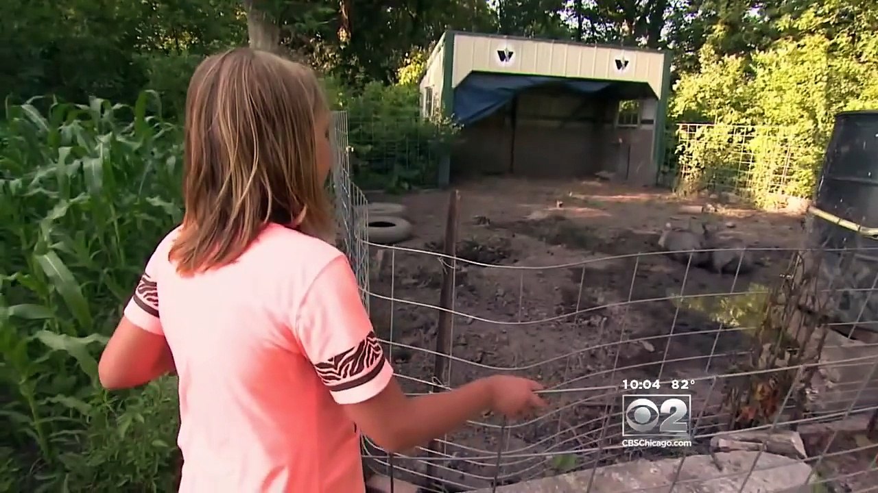 Une fille de 9 ans joue dans sa cour arrière, puis elle voit des petites jambes rosées dans un buisson. Elle est déstabi