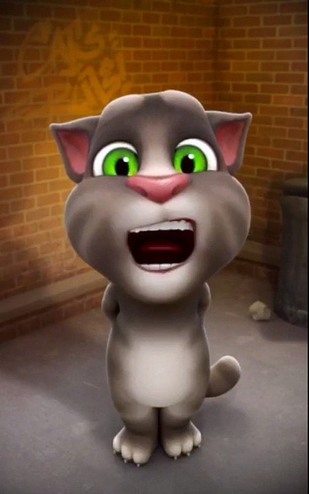 Are meri wife chori Ho gayi yaar Tom cat Hindi very funny video
