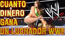 Cuanto Dinero Gana Luchador De La WWE