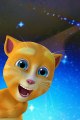 Talking Tom Cat Punjabi Billi New Very Funny clip